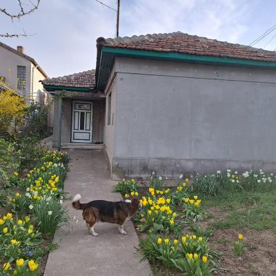 Casa de vanzare KM 5 Constanta