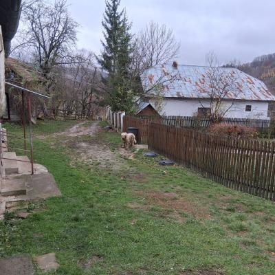 Vand casa batraneasca + teren 1000m2, comuna Rau Alb de jos, jud. Dambovita