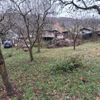 Vand casa batraneasca + teren 1000m2, comuna Rau Alb de jos, jud. Dambovita-5