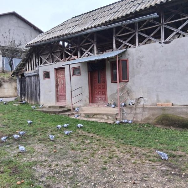 Vand casa batraneasca + teren 1000m2, comuna Rau Alb de jos, jud. Dambovita-8